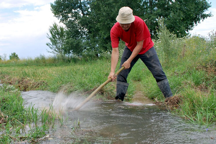 Максата Осмоналиева