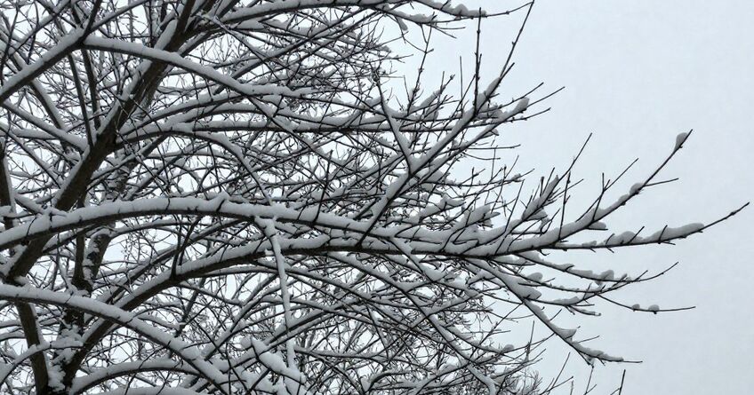 Ждать&nbsp;ли бишкекчанам снег в&nbsp;начале недели. Прогноз погоды на&nbsp;26-28 января
