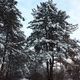 Фото Алмаза Карабалаева. Зима