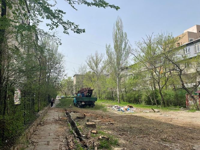 Фото PeshCom. В Бишкеке на улице Сыдыкова вырубили 46 деревьев