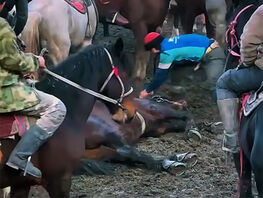 Кровавый итог улака в&nbsp;Узгене: десятки лошадей погибли во&nbsp;время игры
