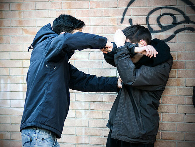 Интернеттен алынды