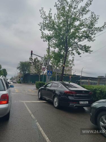 читателя 24.kg