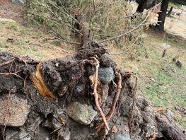 При строительстве ГЭС в&nbsp;Кеминском районе выявлены экологические нарушения
