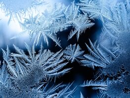 В&nbsp;Бишкеке до&nbsp;Нового года снег не&nbsp;ожидается. Прогноз погоды на&nbsp;29-31 декабря
