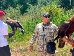 Owners of wild animals in Kyrgyzstan required to register within 6 months