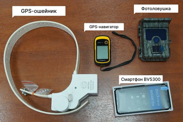 пресс-службы Министерства природных ресурсов, экологии и технического надзора