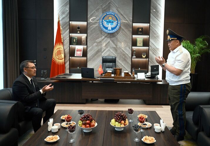 из интернета