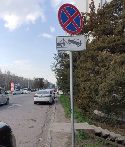 читателя 24.kg