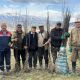 Фото ФАО. В четырех районах высадили более 400 тысяч саженцев