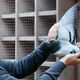 Фото Reuters. Бельгийская почтовая голубка продана за 1,6 миллиона евро

