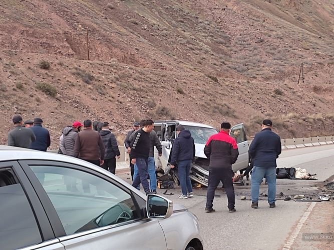 читателя 24.kg