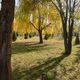 Фото Светланы Симоненко. Осень в Бишкеке