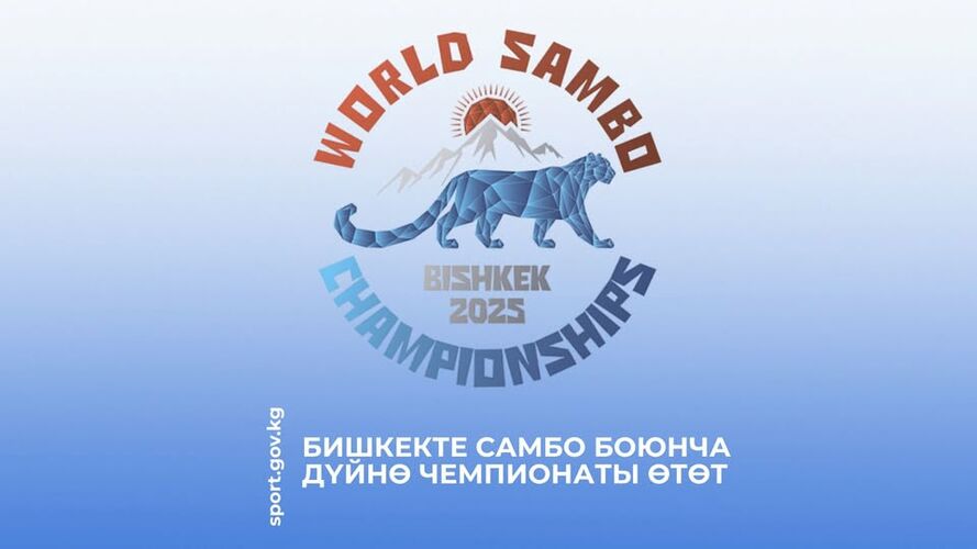 Дене тарбия жана спорт агенттиги