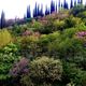Фото ИА «24.kg». Ботанический сад в Тбилиси, май 2017 года