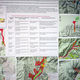 Фото ИА «24.kg». На карте отмечены самые опасные места, где расположены урановые шахты