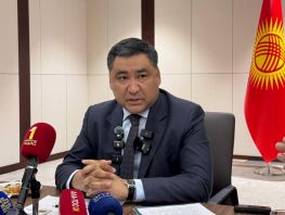 Замглавы кабмина Кыргызстана призвали чаще улыбаться
