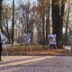 Фото 24.kg. Выставка картин от сотрудников «Бишкекзеленхоза»