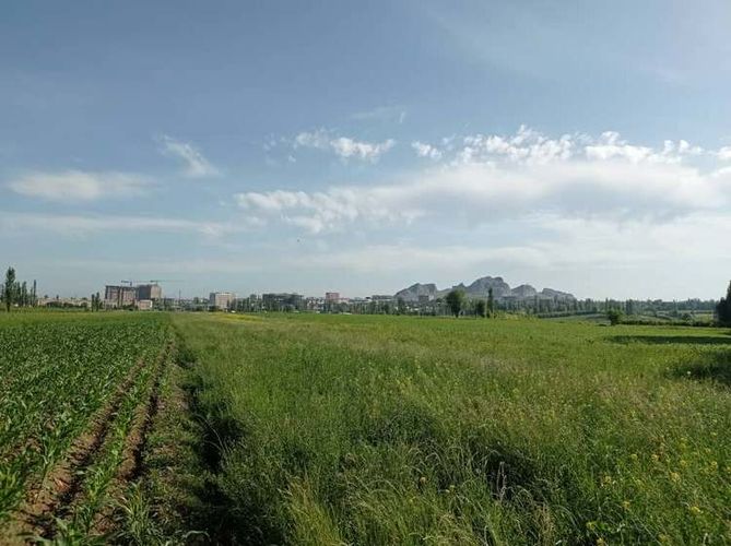 Мамасалы Ташматова