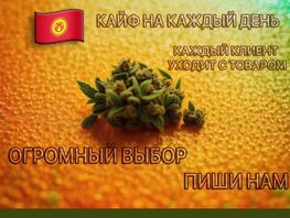 Кыргызстанцы возмущены, что в&nbsp;соцсетях открыто рекламируют наркотики 