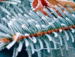 В&nbsp;Бишкеке в&nbsp;начале недели вновь похолодает. Прогноз погоды на&nbsp;9-11 марта
