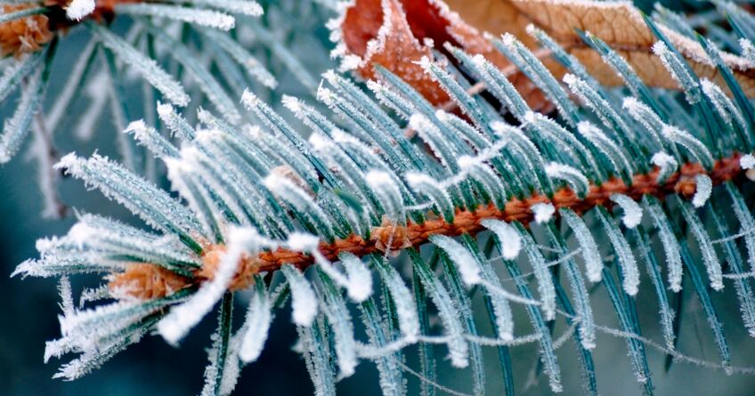 В&nbsp;Бишкеке в&nbsp;начале недели вновь похолодает. Прогноз погоды на&nbsp;9-11 марта
