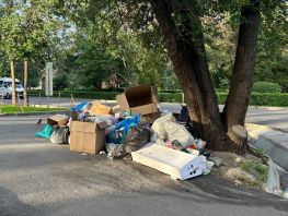 Жители домов на&nbsp;бульваре Эркиндик жалуются на&nbsp;стихийную свалку, устроенную кафе
