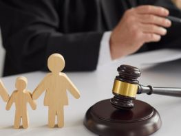 Kyrgyzstan to simplify recovery of child support from debtors in seven countries