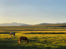 &laquo;Евразийская степь&nbsp;&mdash; это не&nbsp;периферия, а&nbsp;центр мира&raquo;
