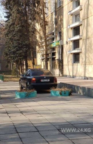 читателя 24.kg