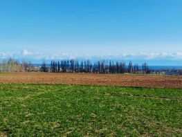 Аламединское ущелье и&nbsp;озеро Иссык-Куль. Фото и&nbsp;видео читателей 24.kg
