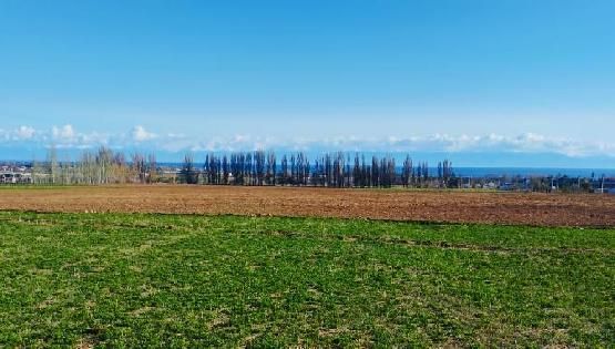 Аламединское ущелье и&nbsp;озеро Иссык-Куль. Фото и&nbsp;видео читателей 24.kg
