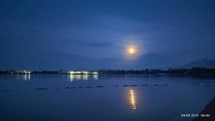 Николая Манаковского