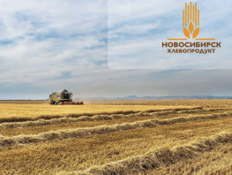 АО&nbsp;&laquo;Новосибирскхлебопродукт&raquo;&nbsp;&mdash; ведущий поставщик зерна в&nbsp;Кыргызстан

