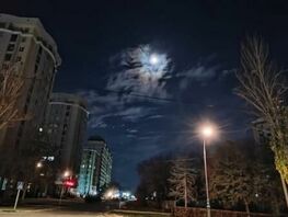 Мгновения жизни. Красота Кыргызстана глазами читателей 24.kg
