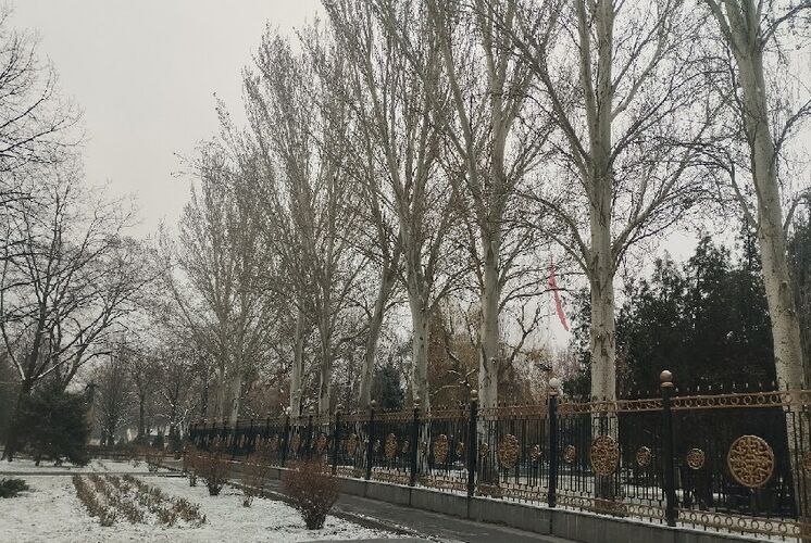 Мээрим Акназаровой