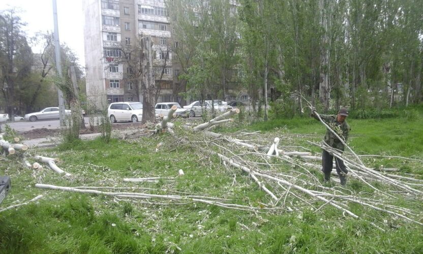 из интернета