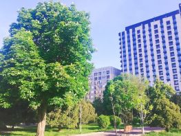 Пробуждение гор и&nbsp;контрасты Бишкека в&nbsp;фото и&nbsp;видео читателей 24.kg
