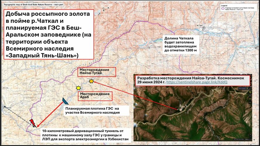 международной экологической коалиции «Реки без границ»