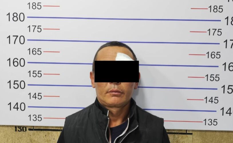 из интернета