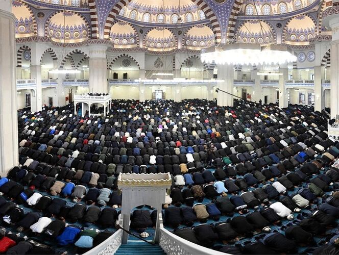 из интернета