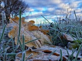 Бишкекте үшүк жүрүшү күтүлүүдө. 3-5-ноябрга карата аба ырайы
