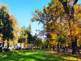 Озеро Сары-Челек и&nbsp;осенний Эркиндик. Фото читателей 24.kg
