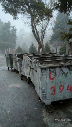 читателя 24.kg