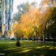 Фото Владислава Ногая. Осень в Бишкеке