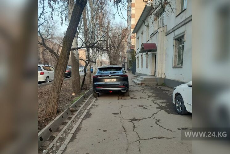 читателя 24.kg