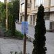 Фото читателя 24.kg. В Бишкеке во дворах расклеивают объявления на деревьях