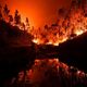 Фото Patricia De Melo Moreira/AFP. Лесной пожар в Португалии, июнь 2017 года
