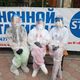 Фото 24.kg. Медсестры Динара Джедигерова, Джаркын Адылбекова и Айжамал Саламатова