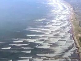 В&nbsp;Японии произошло мощное землетрясение магнитудой 7,5
